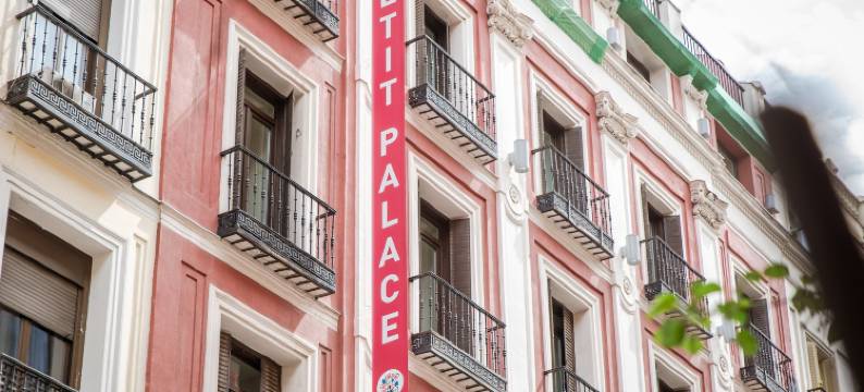 太阳之门广场住宿-珀蒂宫(Petit Palace Puerta del Sol)图片