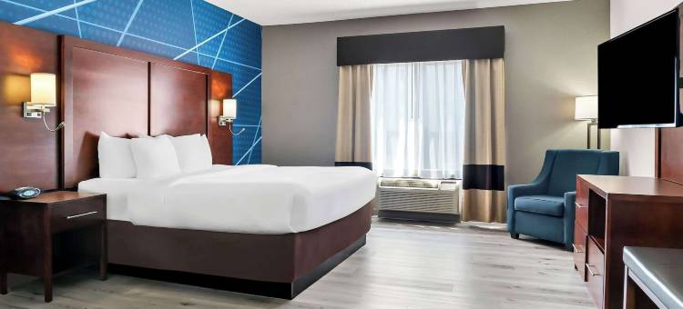 南菲尔德-底特律智选假日套房酒店洲际旗下(Holiday Inn Express & Suites SOUTHFIELD - DETROIT by IHG)图片