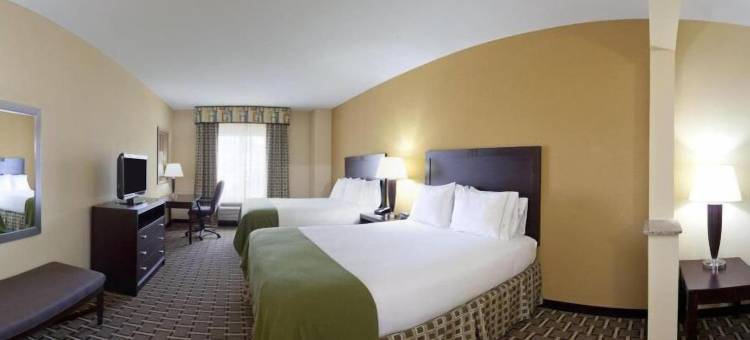 智选假日套房酒店埃尔帕索(Holiday Inn Express & Suites El Paso West)图片