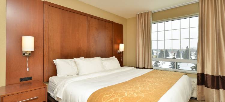 迈诺特舒适套房酒店(Comfort Suites)图片