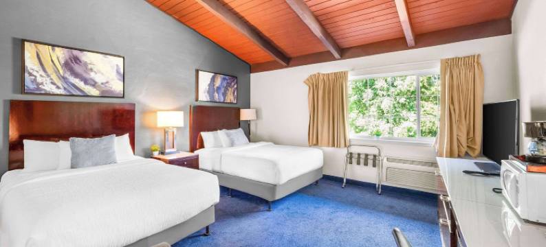 杰克逊品质酒店及套房(Quality Inn & Suites)图片