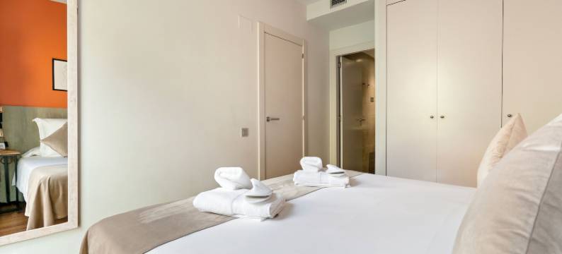 神圣感觉家庭公寓(Sensation Sagrada Familia)图片