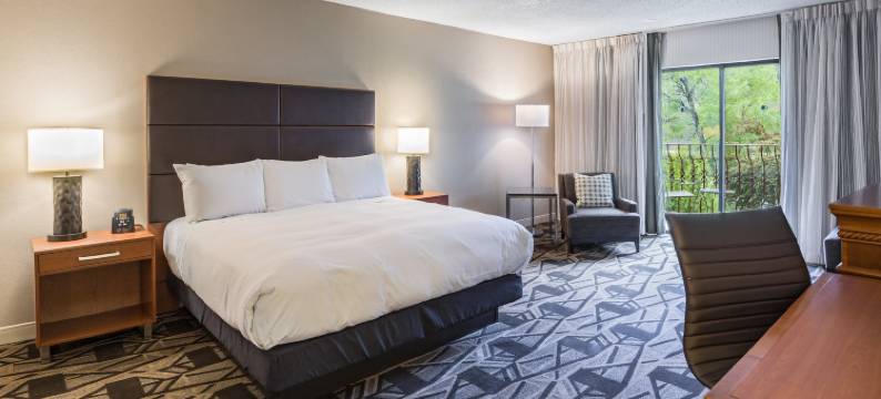 杜兰戈希尔顿逸林酒店(DoubleTree by Hilton Durango)图片