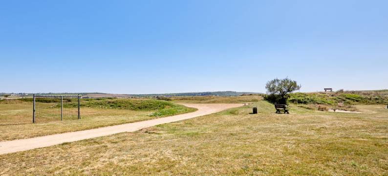 Super Octalia (Camping  )图片