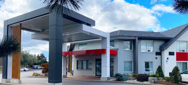 舒适酒店(Comfort Inn)图片