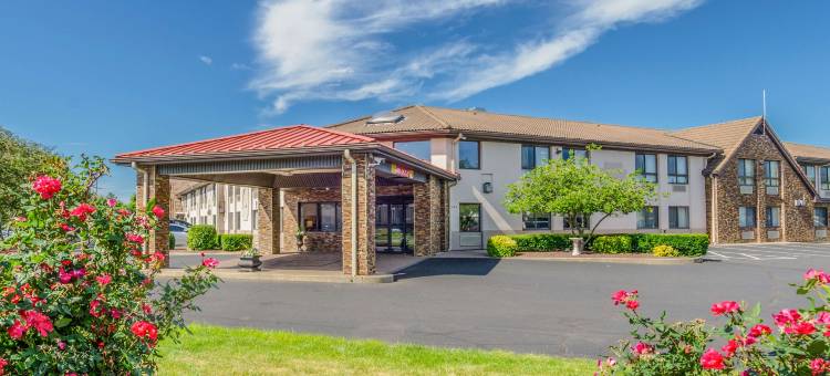 舒适套房酒店(Comfort Inn & Suites)图片