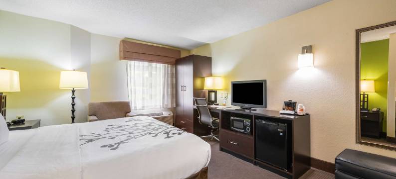 斯泰茨维尔 I-40 舒眠酒店(Sleep Inn Statesville I-40)图片