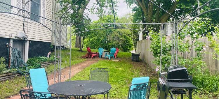 Gingers Tuscan Sunflower图片