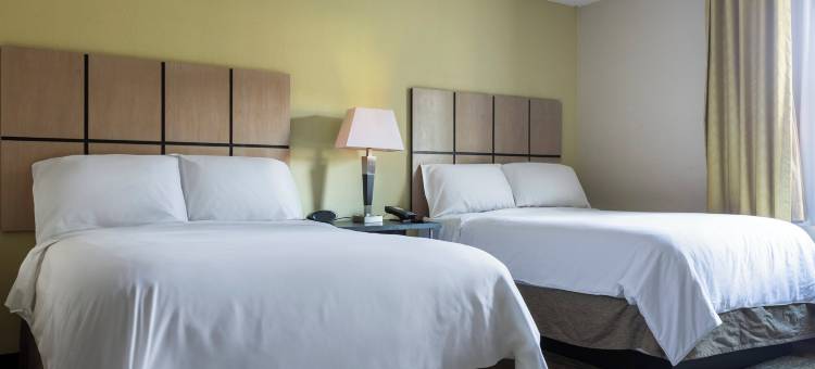Candlewood Suites Colonial Heights-FT Lee图片