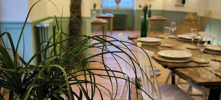 克莱门特尼亚(Clementenia)图片