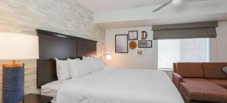 丹佛科技中心欢朋套房酒店(Hampton Inn & Suites Denver Tech Center)图片