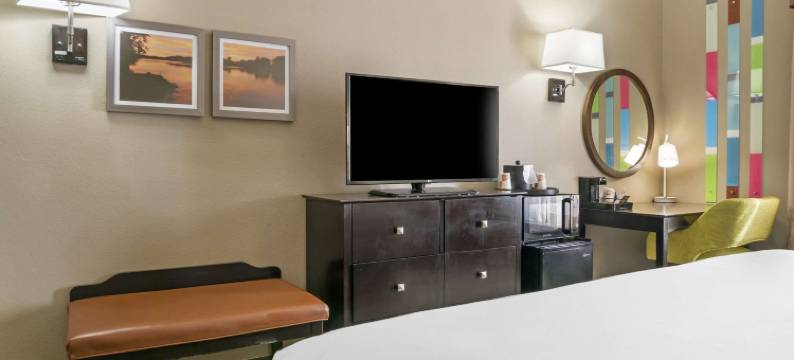 舒适套房酒店(Comfort Inn & Suites Toledo North)图片