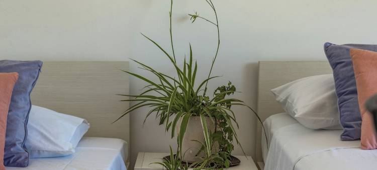 特拉马吉卡豪华公寓或带私人停车场、露台和海景的房间(Terra Magica Deluxe Apartment or Room with Private Parking, Terrace and Sea View)图片