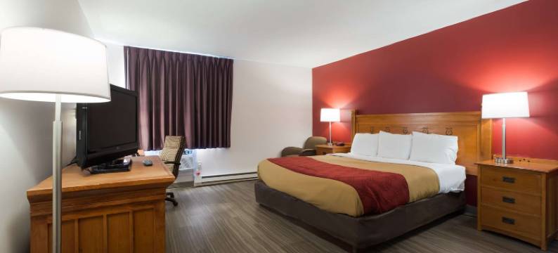 伊克诺套房旅馆(Econo Lodge Inn & Suites)图片