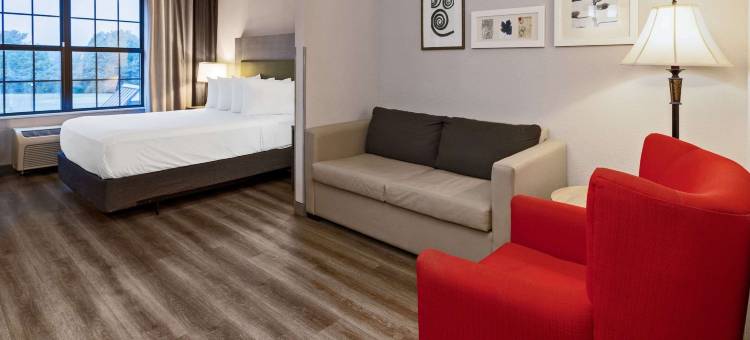 索尔兹伯里丽怡酒店(Country Inn & Suites by Radisson, Salisbury, MD)图片