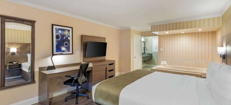 阿纳海姆梅因盖特品质套房酒店(Quality Inn & Suites Anaheim Maingate)图片