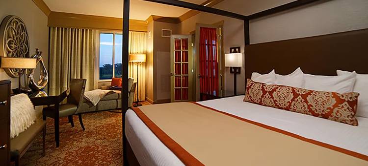 河滨娱乐场酒店(Riverwalk Casino Hotel)图片