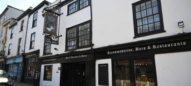 马斯顿白牡鹿酒店(White Hart, Exeter by Marston's Inns)图片