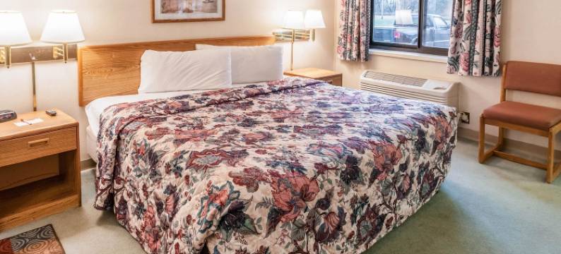 伊克诺套房旅馆(Econo Lodge Inn & Suites)图片