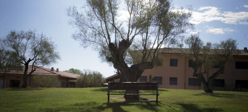 圣埃伦娜民宿酒店(Hotel Casa Santa Elena)图片