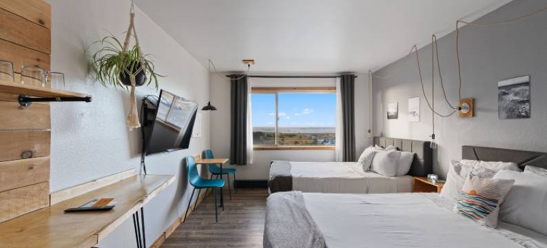 艾迪丽芙特酒店(Adrift Hotel)图片