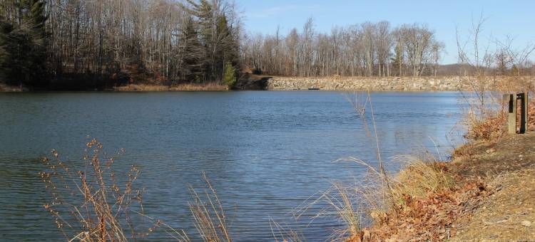 天际线旅馆(Skyline Lodge)图片