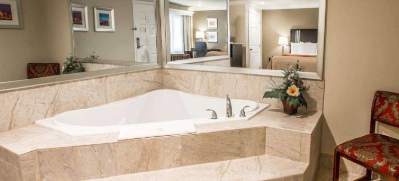 唐尼凯艺酒店(Quality Inn Downey)图片