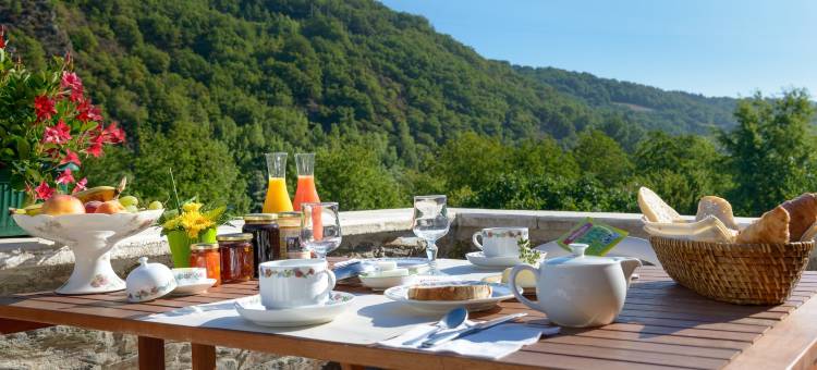 月桂酒店(Logis Hôtels - Hostellerie des Lauriers - Hôtel et Restaurant)图片