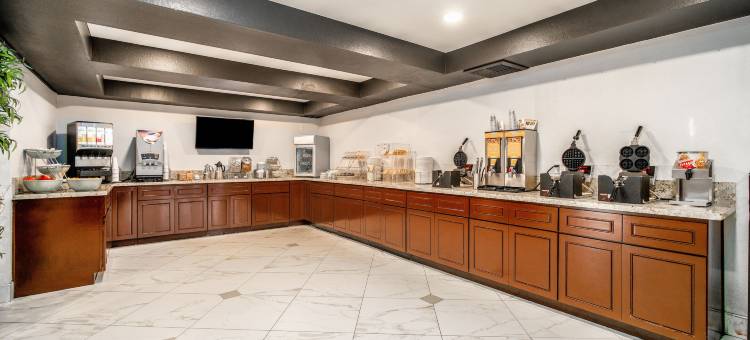 布埃纳帕克套房酒店(The Buena Park Hotel & Suites)图片