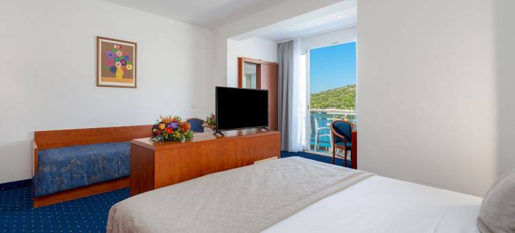 维斯酒店(Hotel Vis)图片