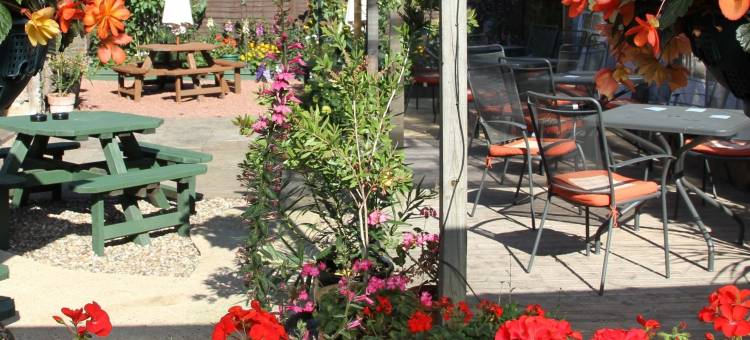 西伯顿白马旅馆(Sibton White Horse Inn)图片