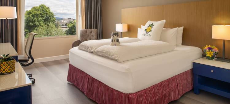 Staypineapple酒店-玫瑰酒店-波特兰市中心(Staypineapple, Hotel Rose, Downtown Portland)图片