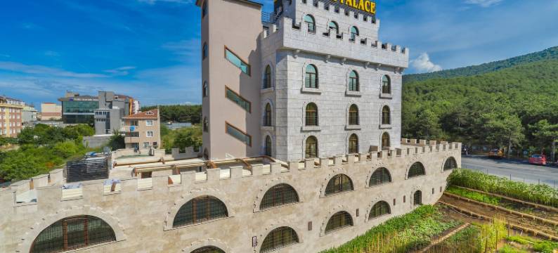 帕肖宫殿酒店(Pasha Palace Hotel)图片