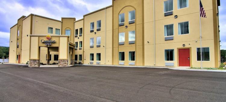 阿巴拉钦/宾汉顿西 17 号公路舒适酒店(Comfort Inn Apalachin / Binghamton W Route 17)图片