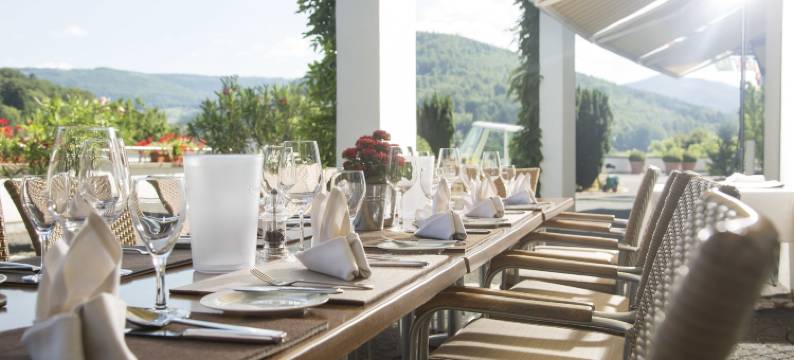 黑森林全景酒店(Schwarzwald Panorama)图片