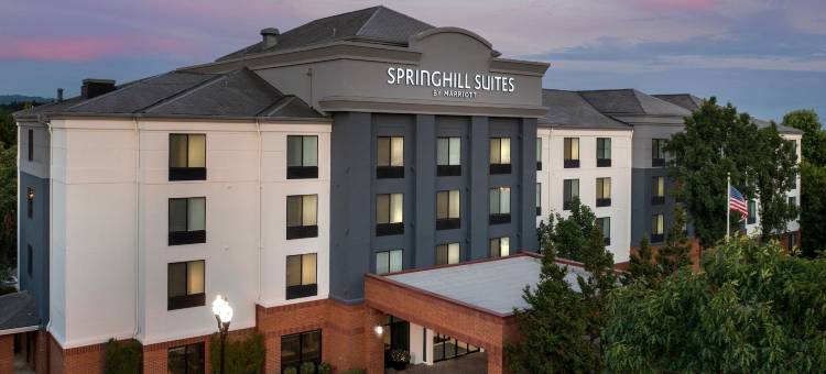 波特兰希尔斯伯勒SpringHill Suites 酒店(SpringHill Suites Portland Hillsboro)图片