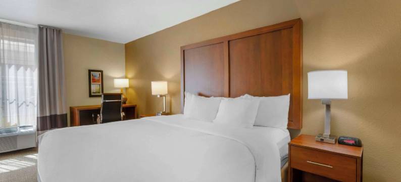 Comfort Inn Green Valley, Arizona图片