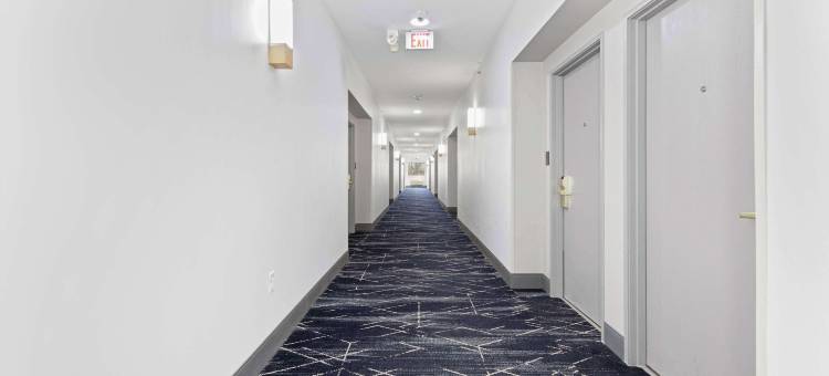 伦巴德阿狄森舒适套房酒店(Comfort Suites Lombard/Addison)图片