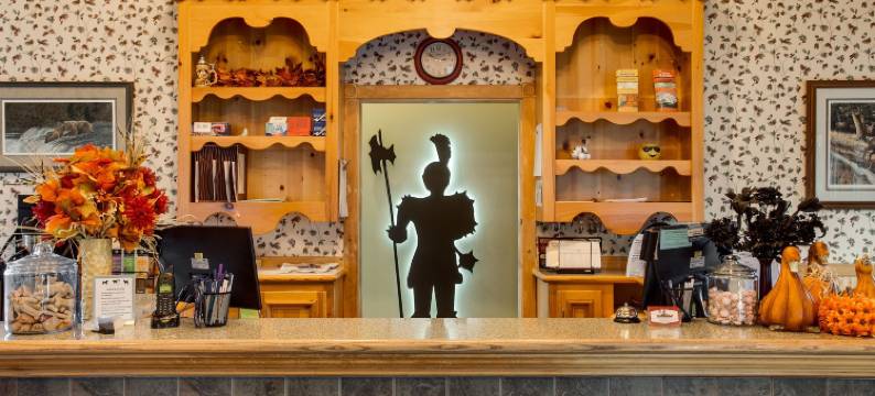 德尔利特霍夫旅馆(Der Ritterhof Inn)图片