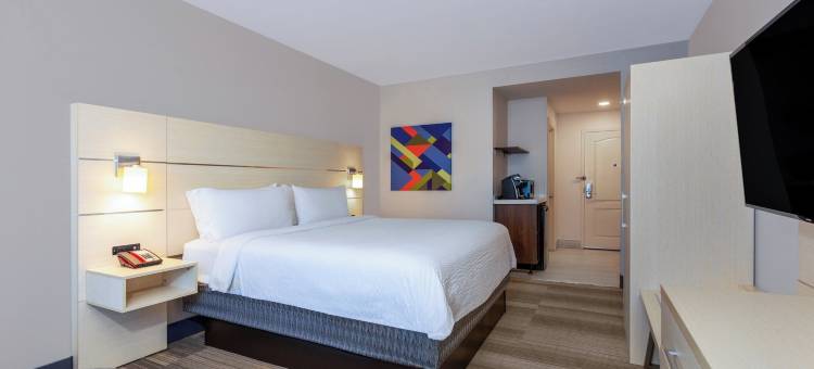 智选假日套房酒店奥兰多 - 国际大道(Holiday Inn Express & Suites Orlando - International Drive)图片