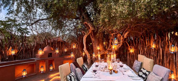 塔威山林小屋(Tawi Lodge)图片