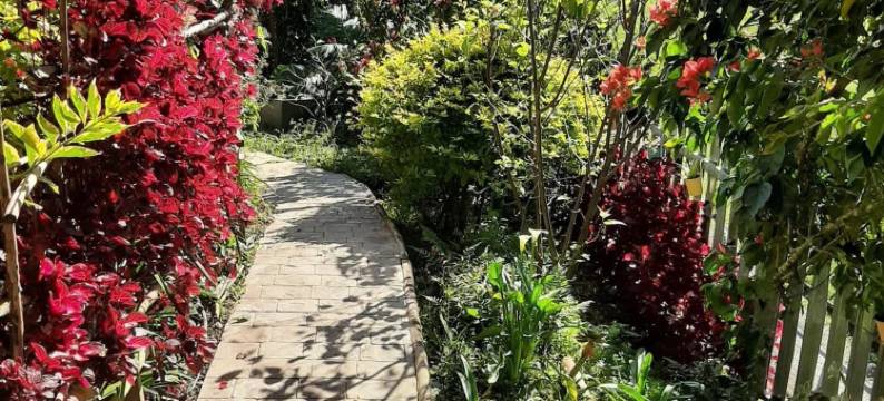 拉克罗西之径酒店(La Croisee des Sentiers)图片