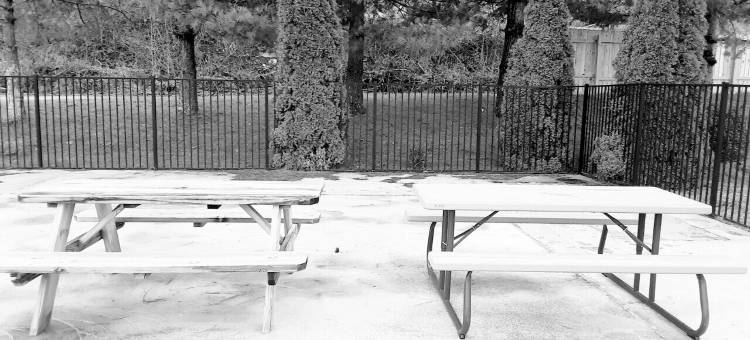 凯艺酒店(Quality Inn)图片