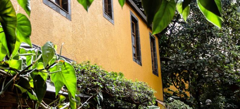 布干威勒酒店(Hotel le Bougainviller)图片