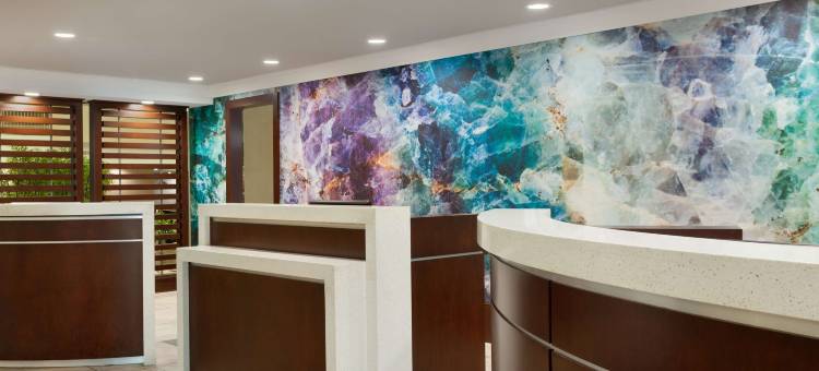 亚特兰大机场希尔顿安泊酒店(Embassy Suites by Hilton Atlanta Airport)图片