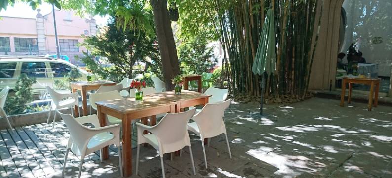 统治者酒店(Hotel Gobernador)图片