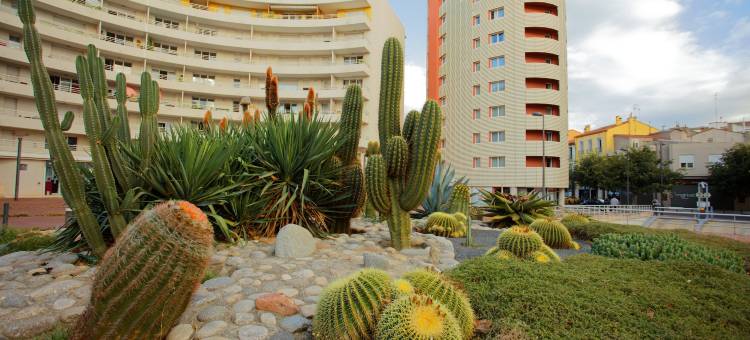 佩皮尼扬阿塞斯酒店(Appart-Hôtel Mer & Golf City Perpignan Centre)图片