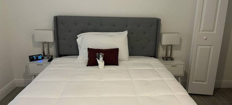 舒适的利哈伊延长住宿公寓(Cozy Lehigh Extended Stay)图片
