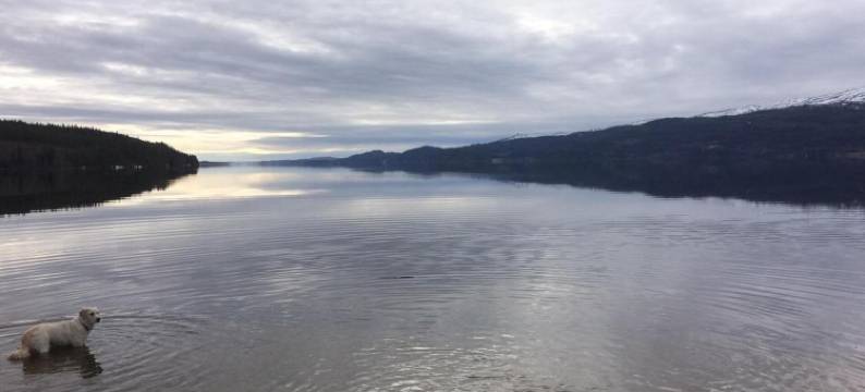 格拉纳布里格里酒店(Grana Bryggeri)图片