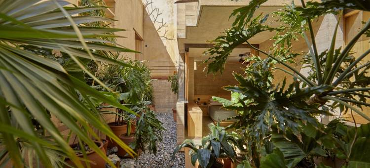 瓦哈卡埃斯孔迪多瓦哈卡酒店 - 设计酒店会员(Hotel Escondido Oaxaca, a Member of Design Hotels)图片